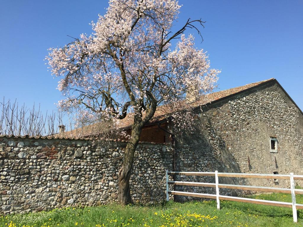 Antico Cascinale Lombardo Bed & Breakfast Lonato Bagian luar foto